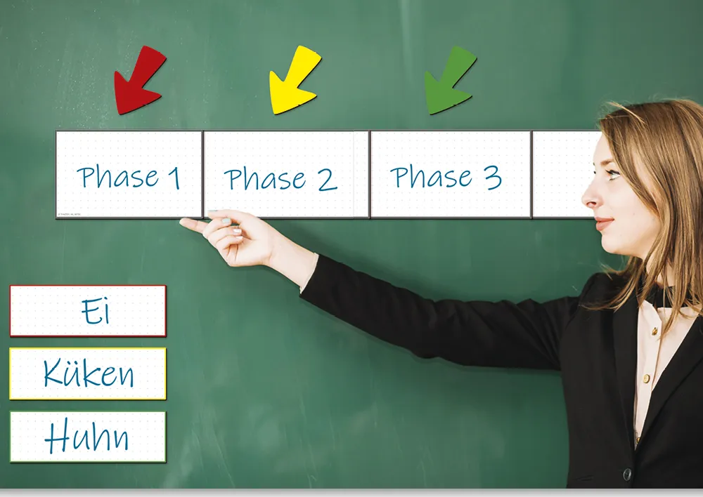 TimeTEX tidslinje "Flexaform" blank, magnetisk, 64 delar.
